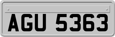 AGU5363