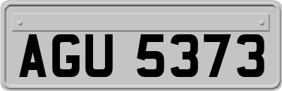 AGU5373