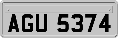AGU5374