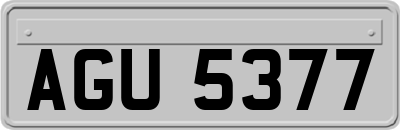 AGU5377