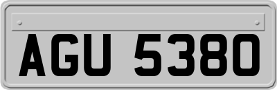 AGU5380