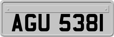 AGU5381