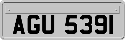 AGU5391