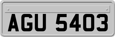 AGU5403