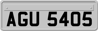 AGU5405