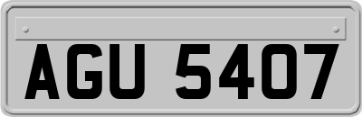 AGU5407