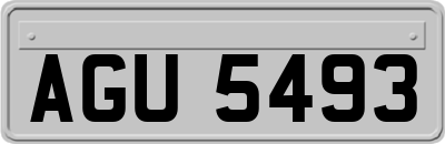 AGU5493