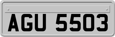 AGU5503