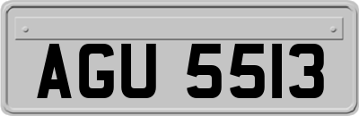 AGU5513