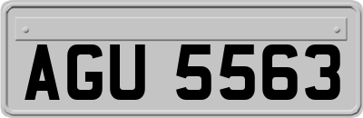 AGU5563