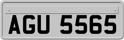 AGU5565
