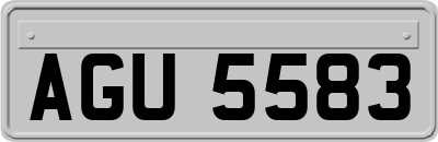 AGU5583