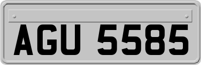 AGU5585