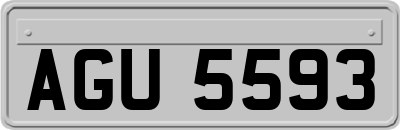 AGU5593