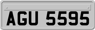 AGU5595