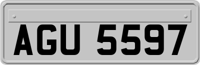 AGU5597