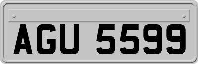 AGU5599