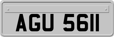 AGU5611