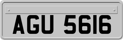 AGU5616