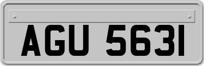 AGU5631