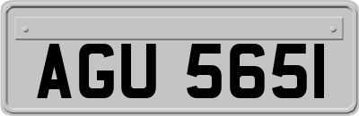 AGU5651