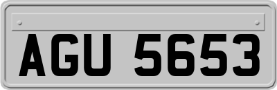 AGU5653