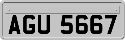 AGU5667