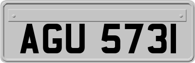 AGU5731