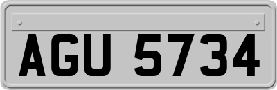 AGU5734