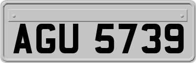AGU5739