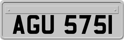 AGU5751
