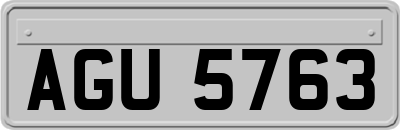 AGU5763