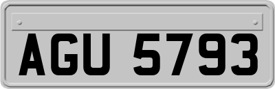 AGU5793