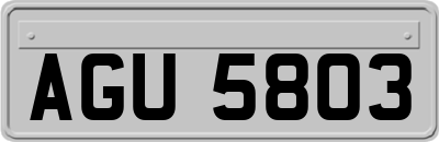 AGU5803
