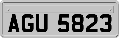 AGU5823