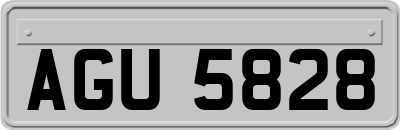 AGU5828