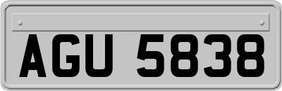 AGU5838