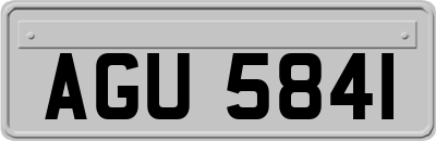 AGU5841
