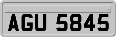 AGU5845