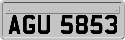 AGU5853