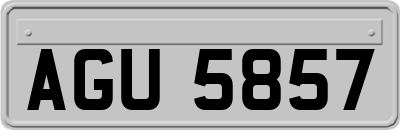 AGU5857