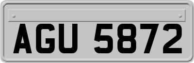 AGU5872