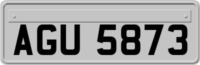 AGU5873