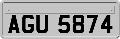 AGU5874