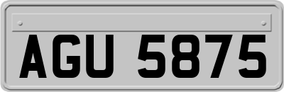 AGU5875