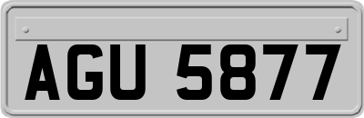 AGU5877