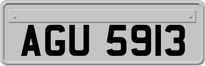 AGU5913