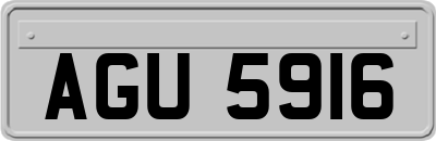 AGU5916