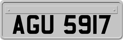 AGU5917