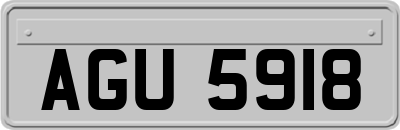 AGU5918